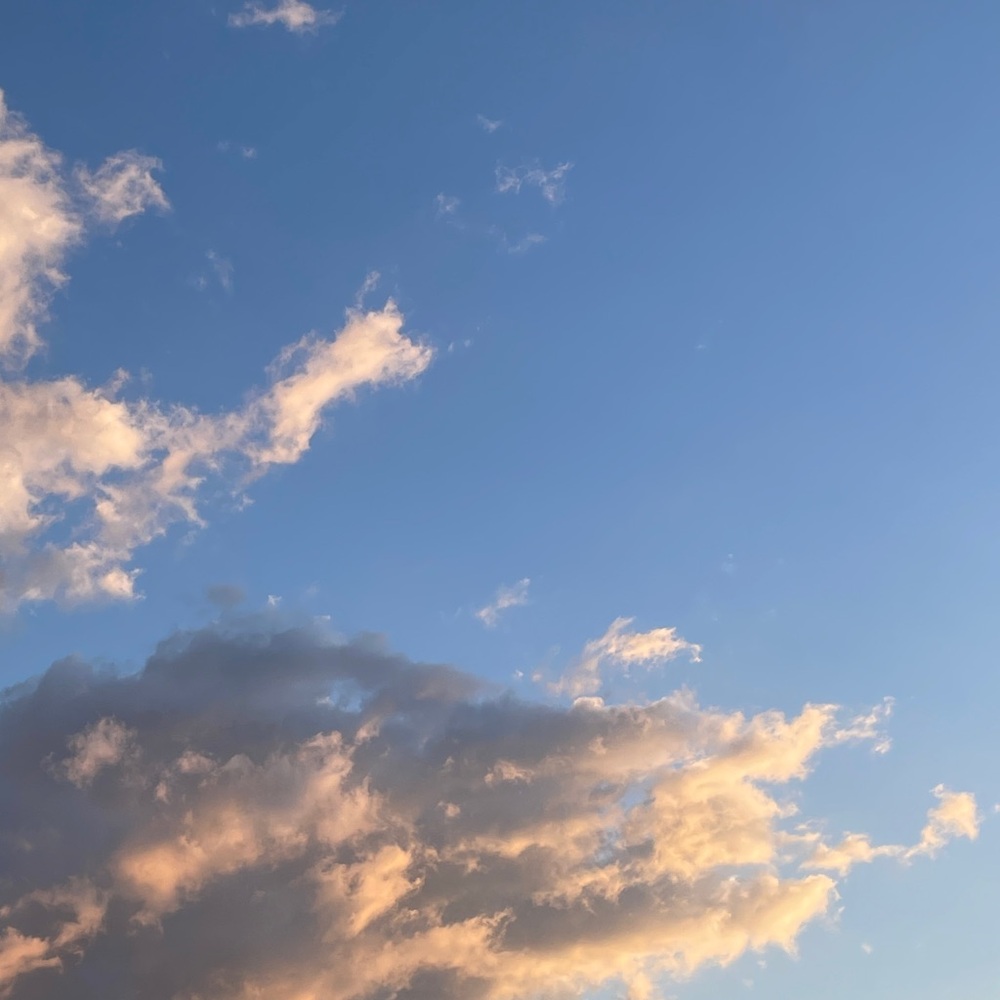 Meet your Posher, Michelle!